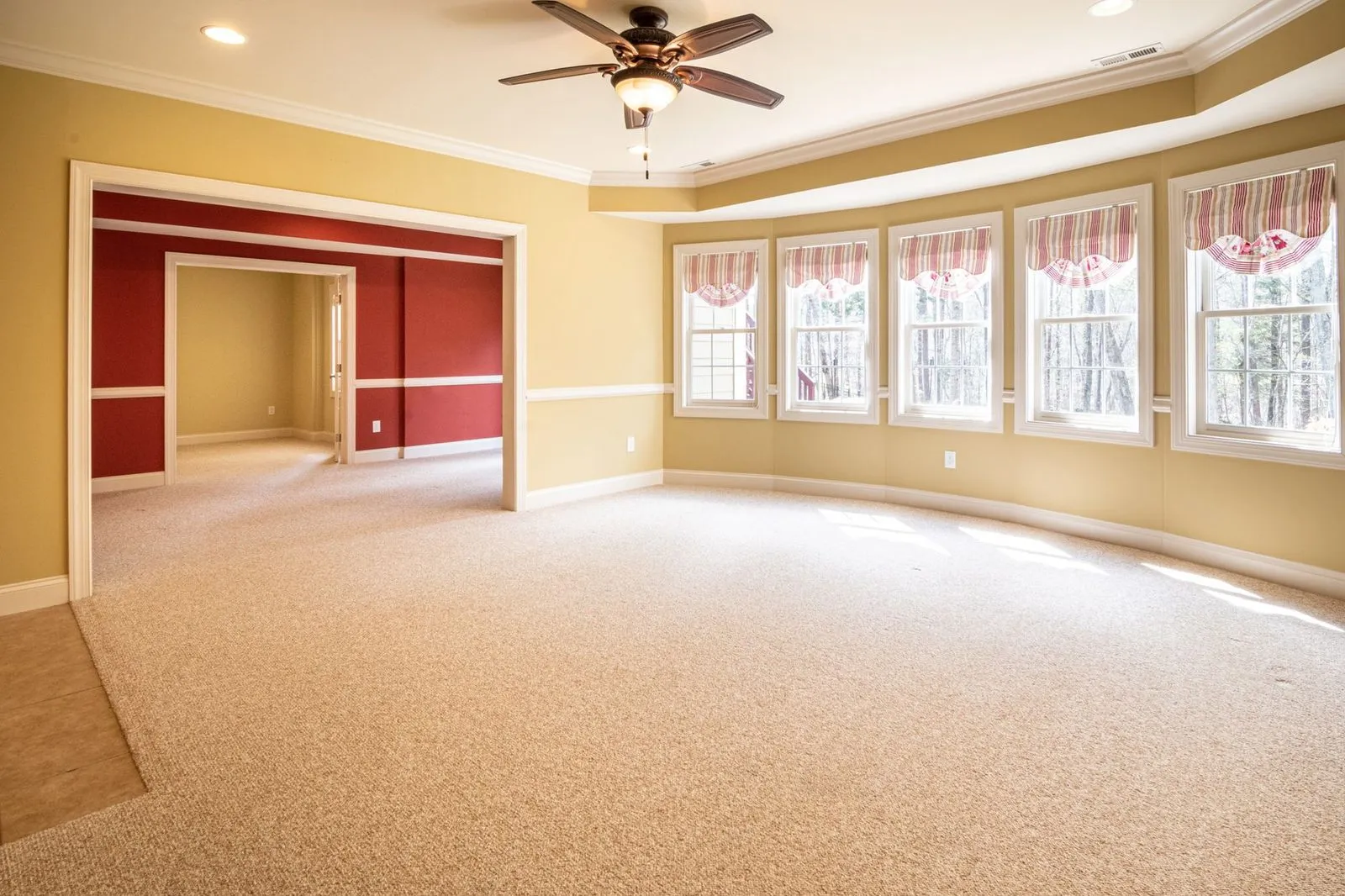 A bright carpeted room with a ceiling fan overhead and a row of windows along one wall