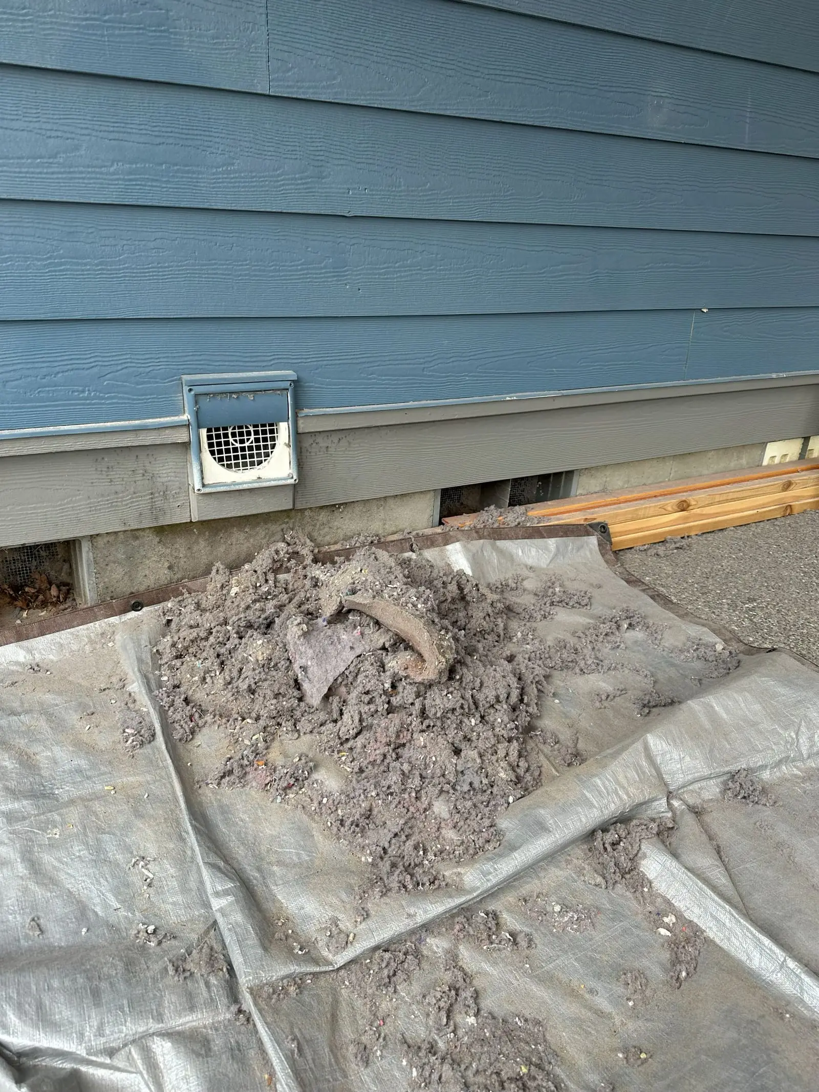 Dryer lint collected on a protective tarp laid beneath the vent outlet