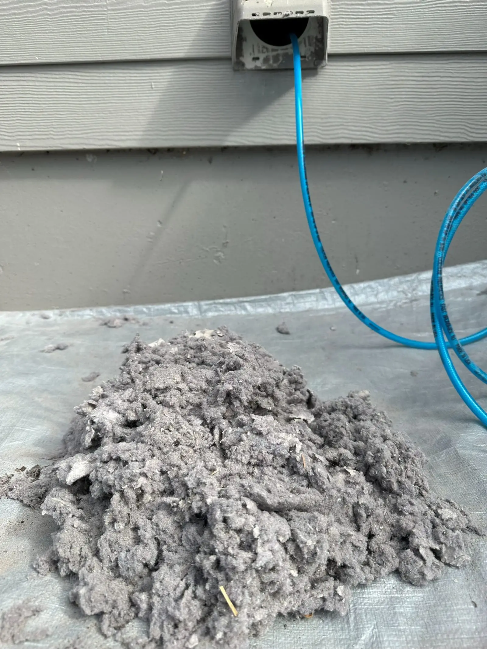 A large pile of grey lint on a tarp beneath an exterior dryer vent, with the cleaning hose still in the duct
