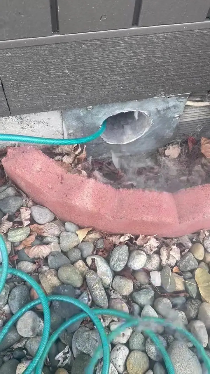 Lint blowing out of a ground-level dryer vent opening as a line is fed up the duct, beside a brick landscape edge