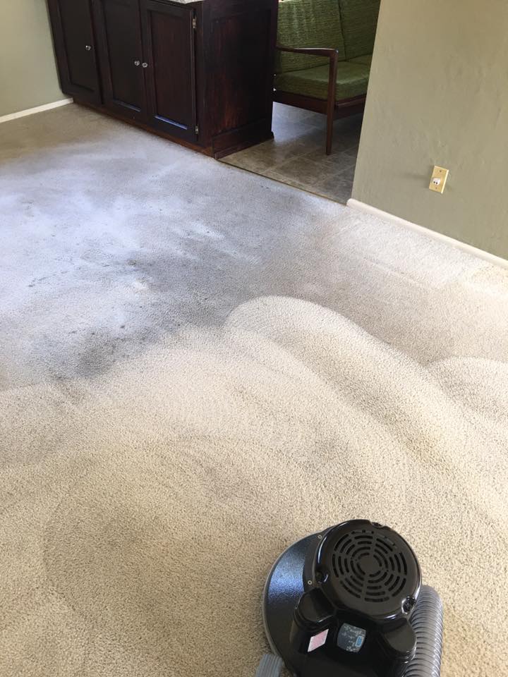 Rotary Residential Carpet Cleaning Whidbey Island