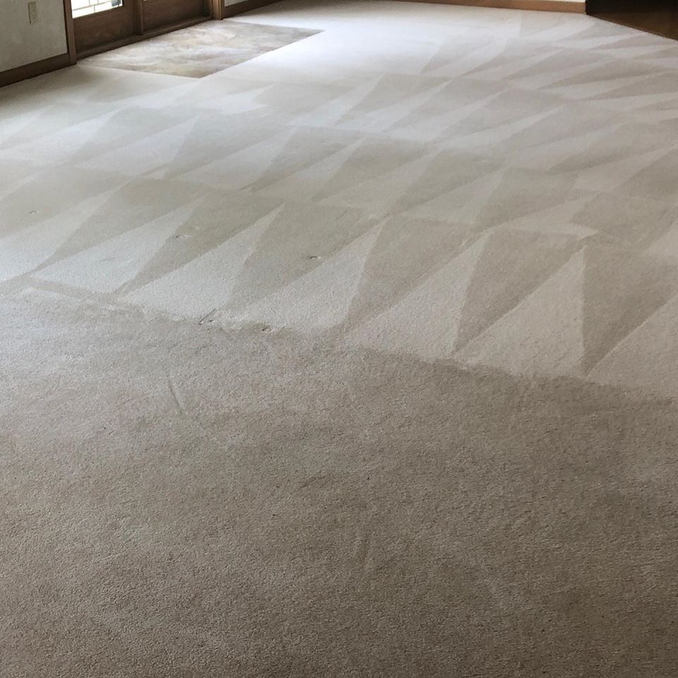 Gallery of Our Work | A Clean Carpet Co.