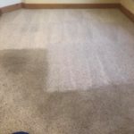 Carpet Cleaning Freeland WA - 2